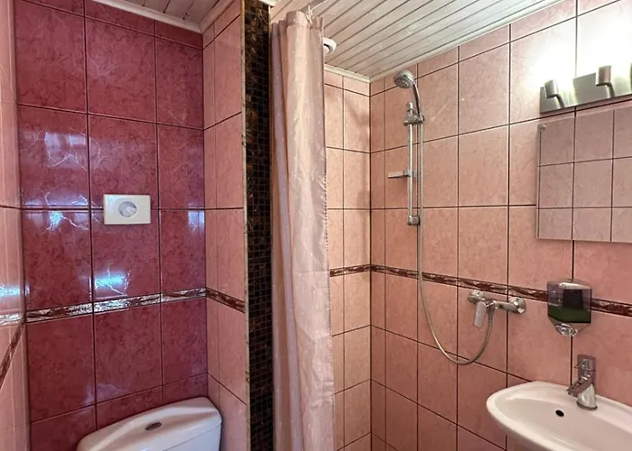 Manniku Guest house Parnu